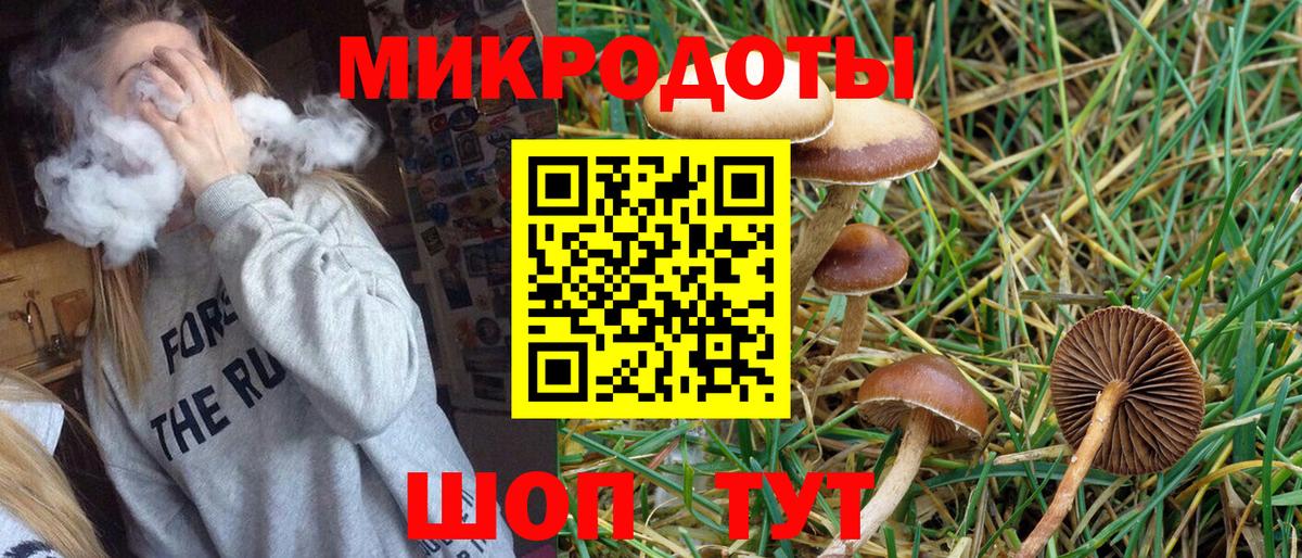 Галлюциногенные грибы мицелий  Вход с VPN  Пушкино  Псилоцибиновые грибы Magic Shrooms 